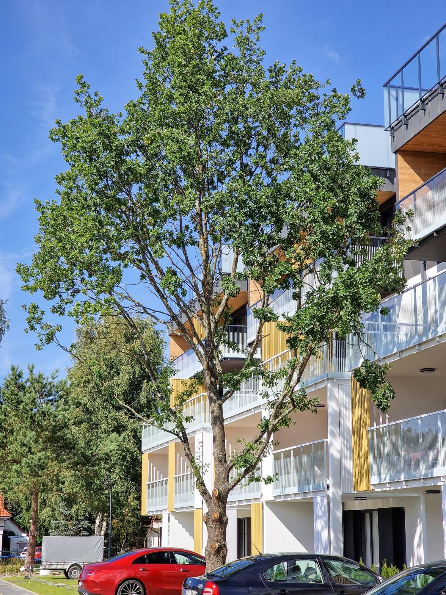 Posesja Apartamenty & Spa - Posesja Plazowa 4A II Grzybowo  Ngoại thất bức ảnh